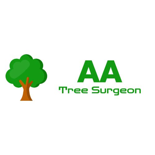 Tree Surgeon in Gloucester 