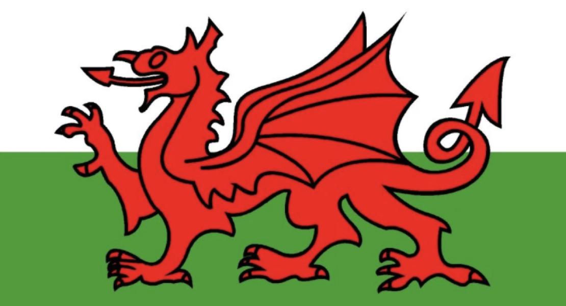 dragon locks logo is a welsh flag and dragon