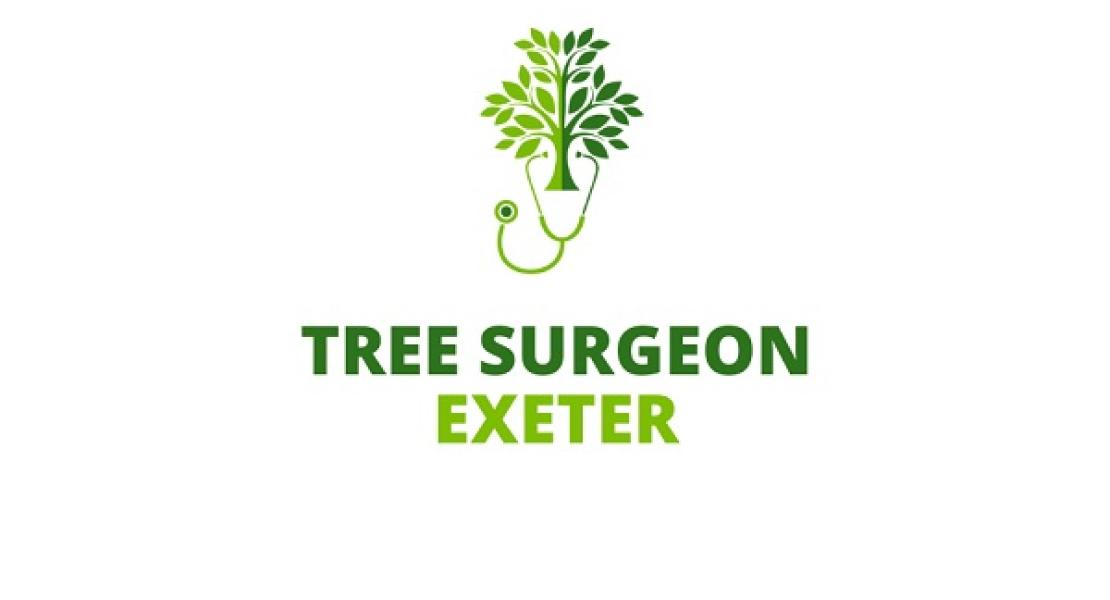 Tree Surgeon Exeter