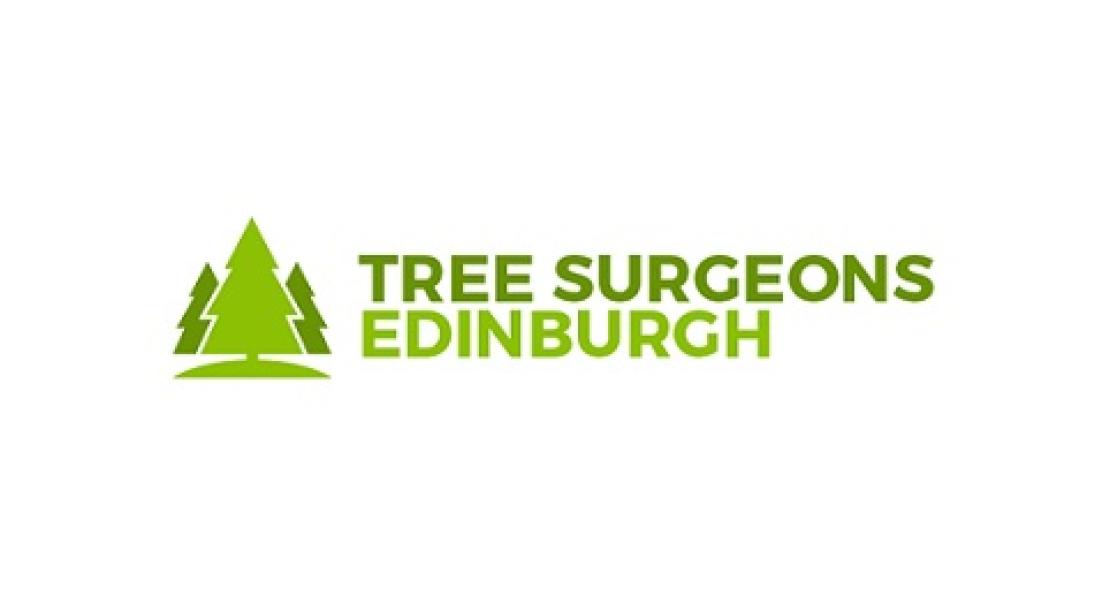 Tree Surgeon Edinburgh